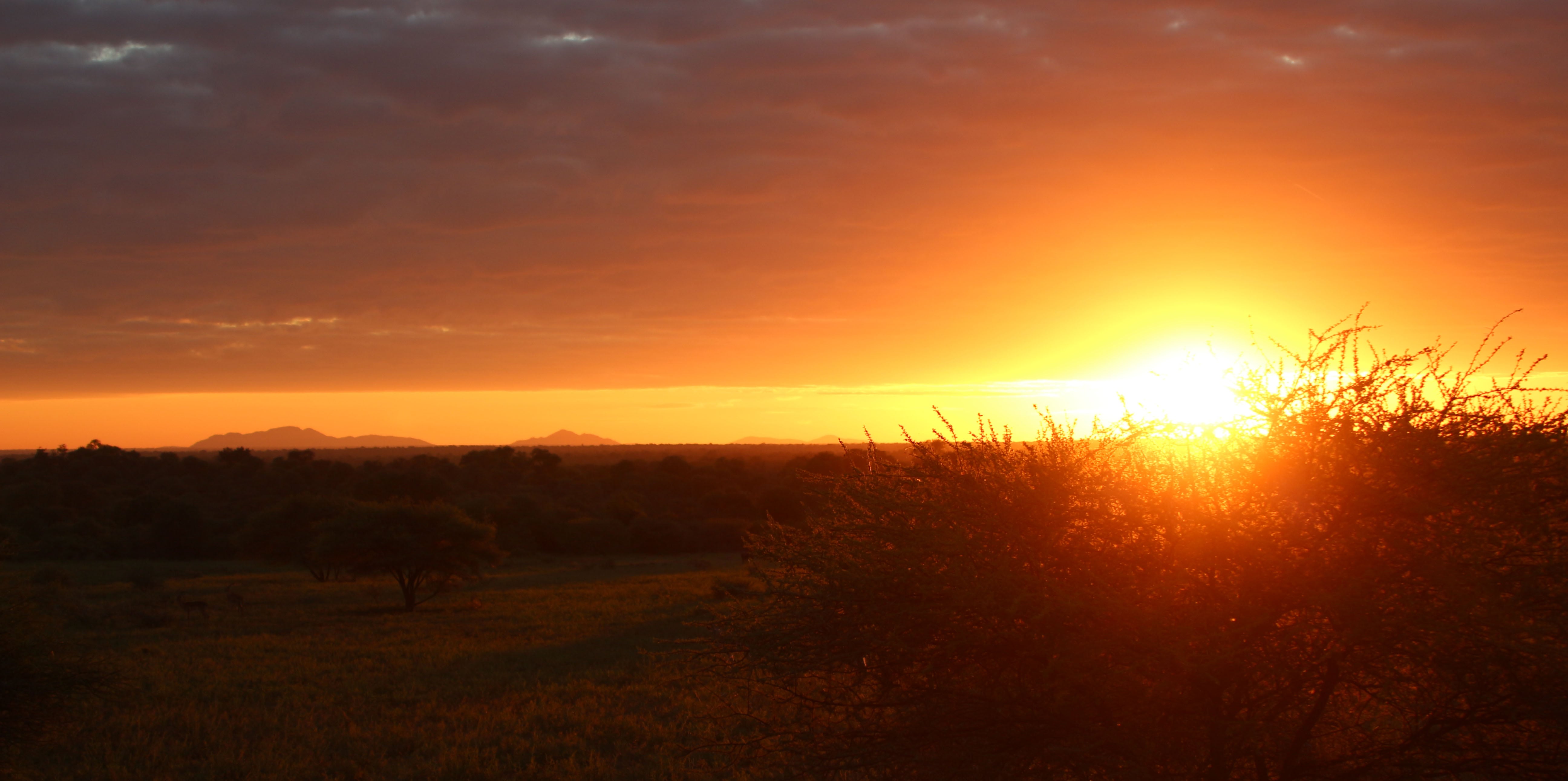 Botswana sunrise