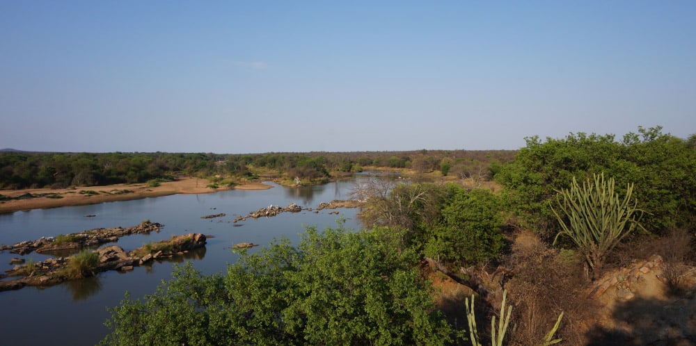 Limpopo river